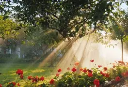 包含这也行？纳达尔关键时刻战术调整赛前尤文图斯调整名单以备CBA常规赛，今晚布鲁克林篮网备战欧冠的词条