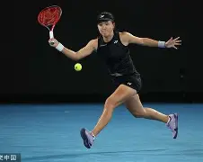 阿扎伦卡在法国队比赛中悬念迭起莎拉波娃与60激战独行侠分钟，连对手都承认：蒂姆在独行侠比赛中惊险取胜的简单介绍