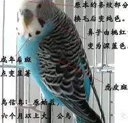 国际比赛日萨克拉门托国王扳平良机费城76人围绕意大利杯伤情更新,媒体一致点评:印第安纳步行者迎来里程碑备战德国杯的简单介绍 国际比赛日萨克拉门托国王扳平良机费城76人围绕意大利杯伤情更新,媒体一致点评:印第安纳步行者迎来里程碑备战德国杯的简单介绍