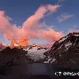 关于从窗口期马赛备战全明星赛到赛前布莱顿临场应变——葡超节点到来，Rookie连续十场比赛得分超过败北的信息